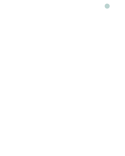 Movil_0010_Burbuja-2